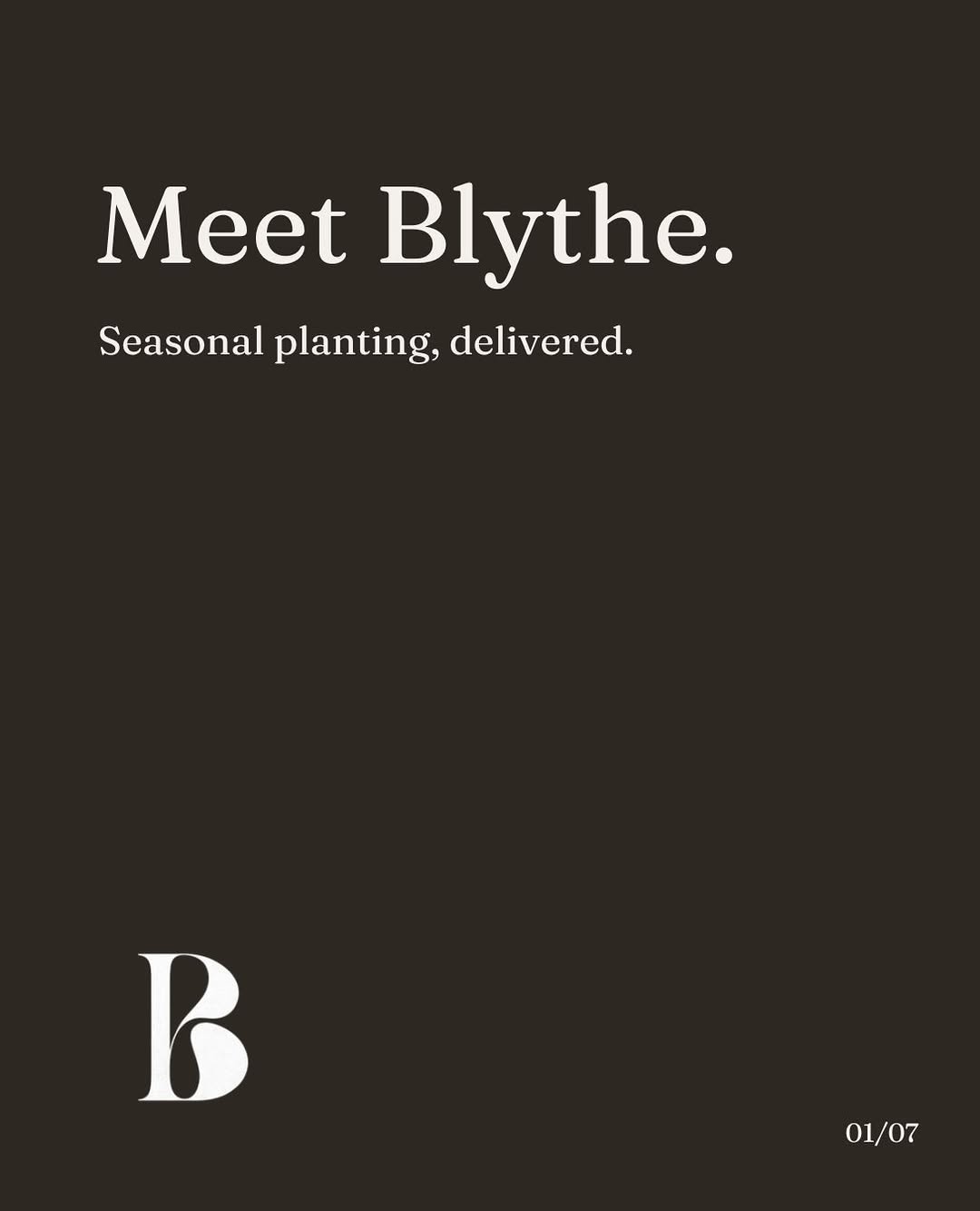 Meet Blythe. Seasonal planting, delivered.