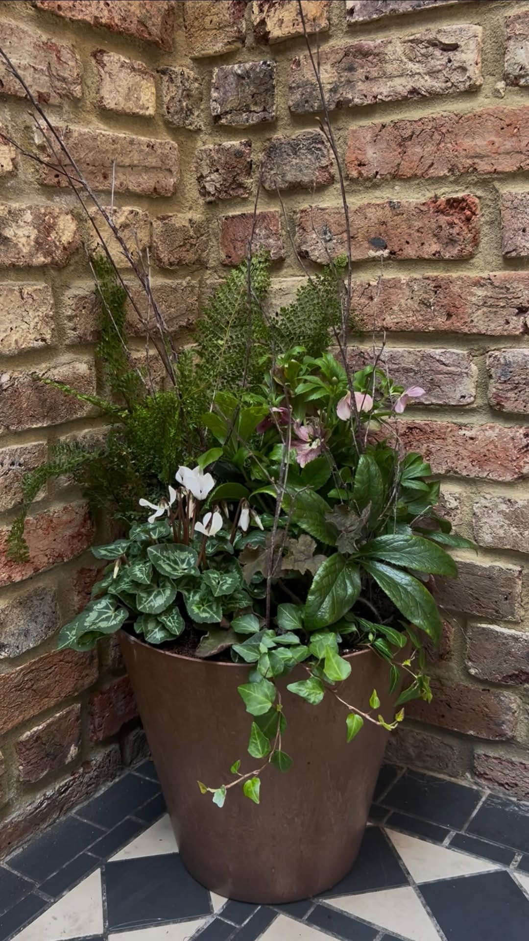 A Blythe planter against a brick wall