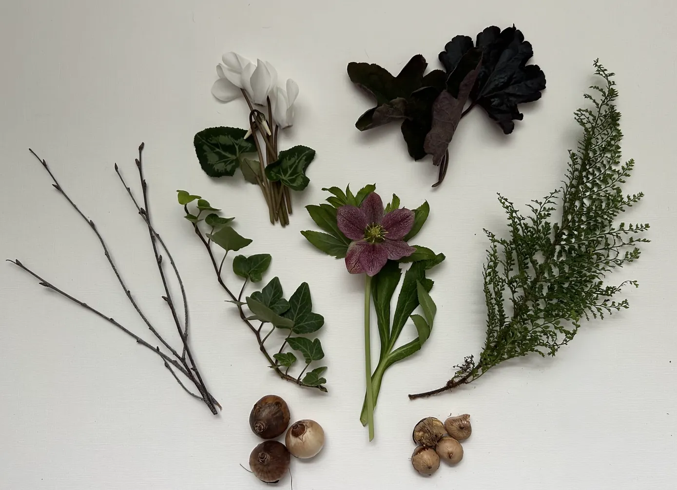 Flat lay of the First Frost collection: a plum hellebore flower, white cyclamen, ivy, fern, dark leaves, bare twigs and spring bulbs arranged on a cream background.
